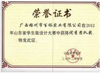 山东省学生装设计大赛优秀团队奖